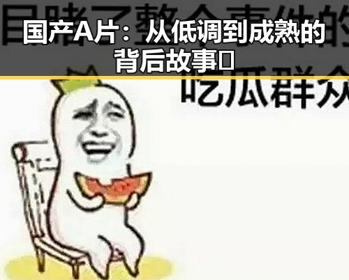 国产A片：从低调到成熟的背后故事 🧐