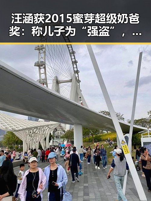 汪涵获2015蜜芽超级奶爸奖：称儿子为“强盗”，育儿观引发关注